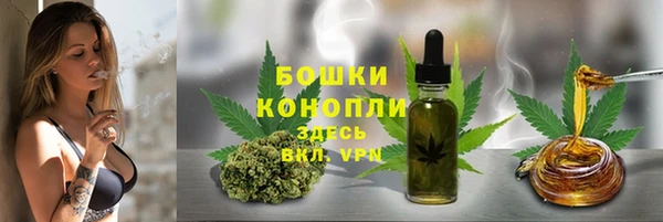 стаф Вязники
