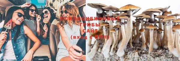 стаф Вязники