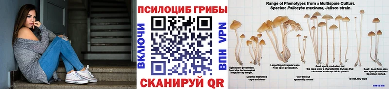 дарк нет формула Кущёвская Галлюциногенные грибы Cubensis