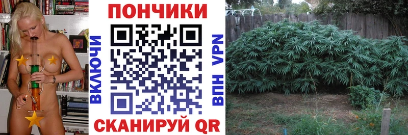 сайты даркнета телеграм  Кущёвская  Бошки Шишки планчик  магазин  наркотиков 